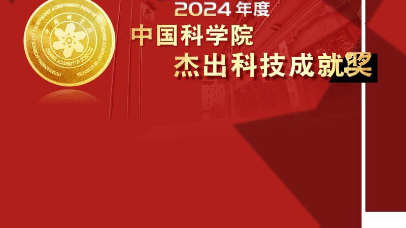 软件二次开发，技术选型的关键考量