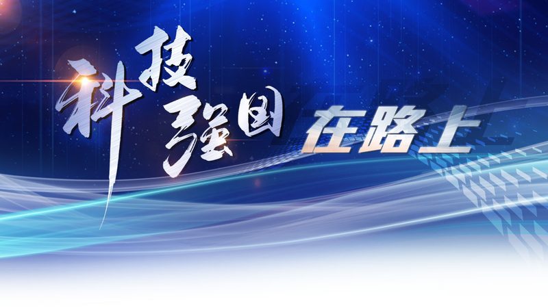 API网关与反向代理：性能对比解析